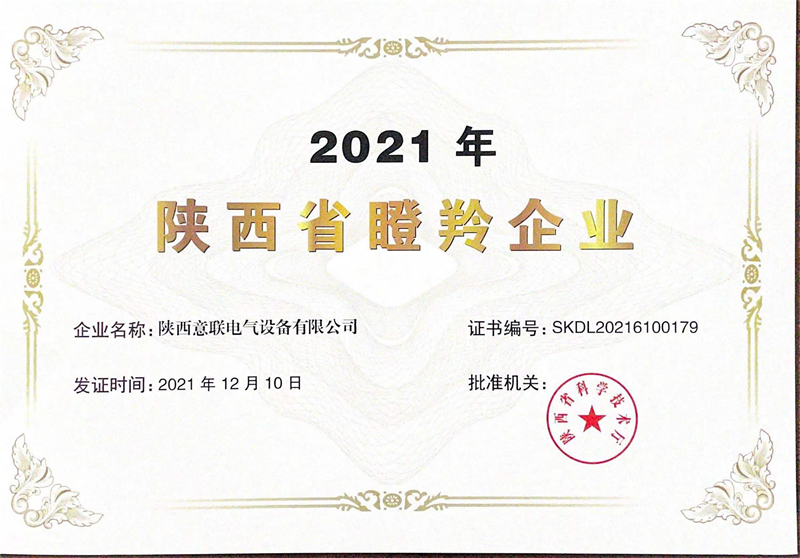 ףR(lin)늚s@2021ȡI(y)su(y)Q̖(ho)